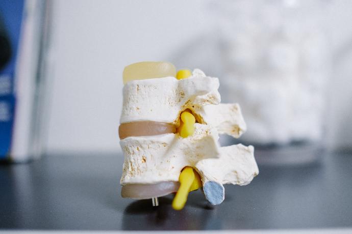 Can Potassium Improve Your Bone Health?
