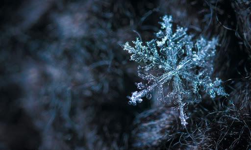 Een sneeuwvlokken in een koud winterweer